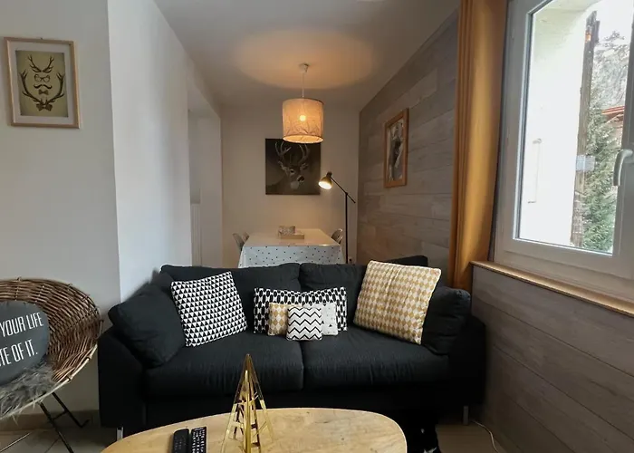 Jaune Genepi - 4 Personnes - 49M2 Et 17M2 Terrasse